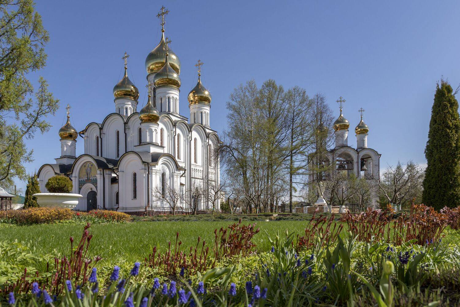 Ярослвская область, Елена Гусева