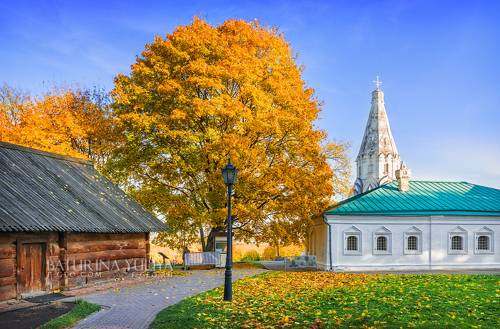 Осеннее дерево