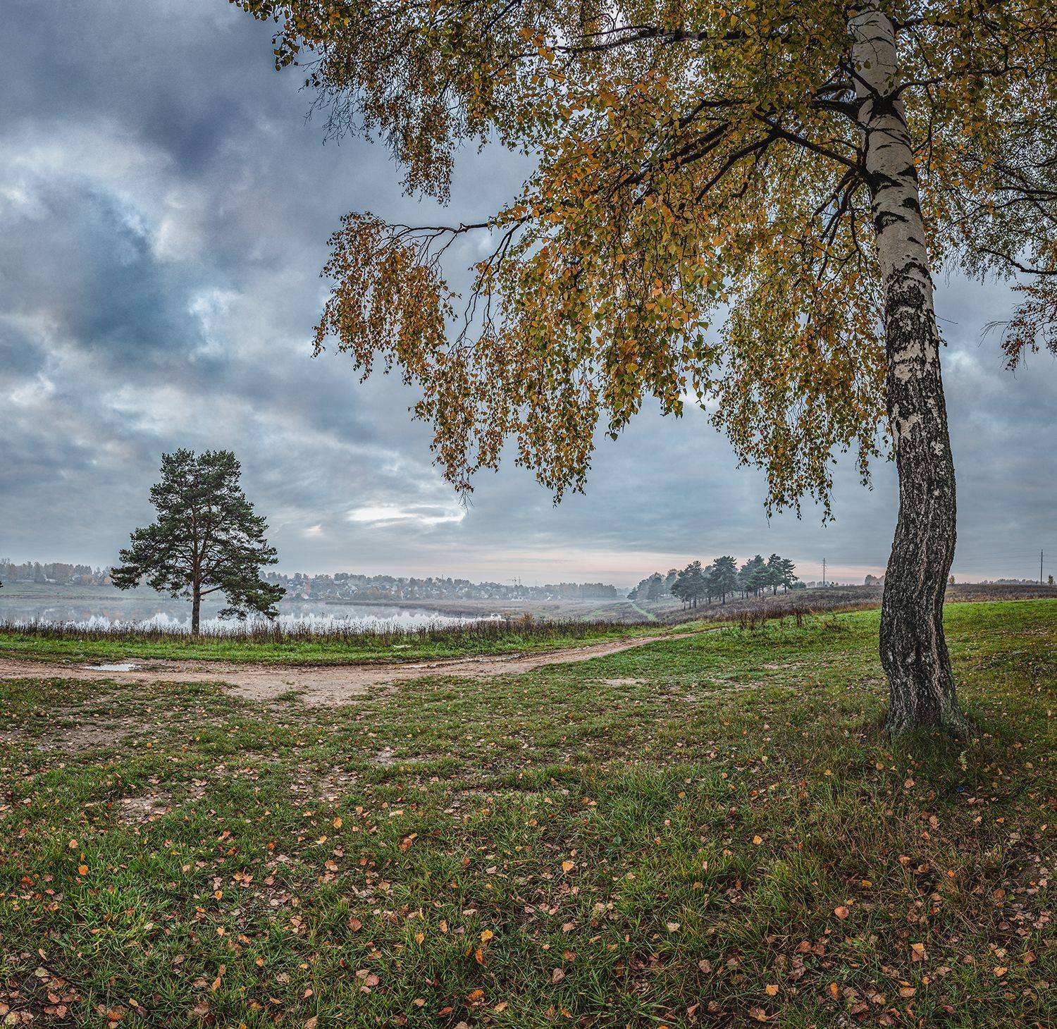 , Николай Андреев