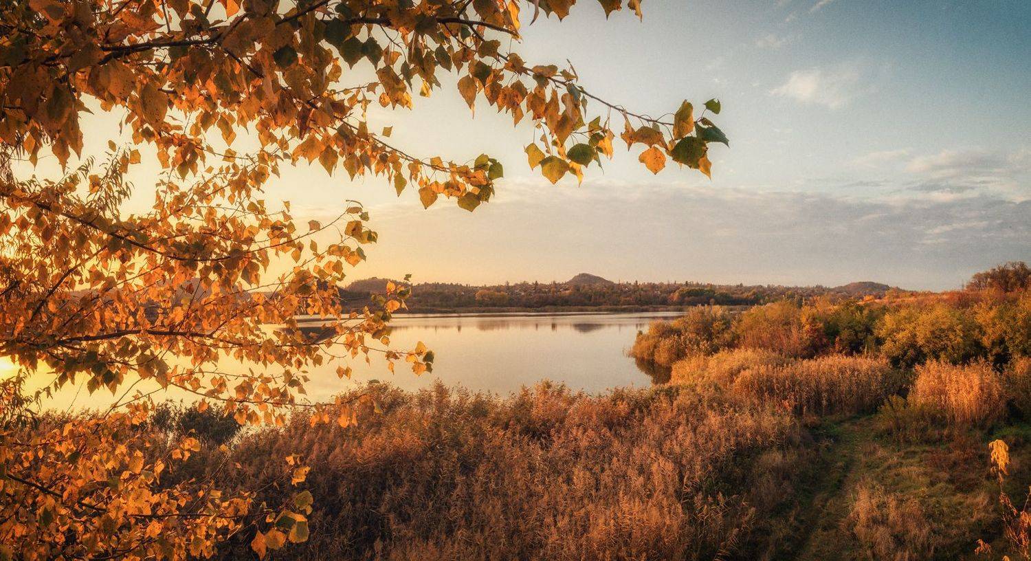 , Игорь Мелекесцев