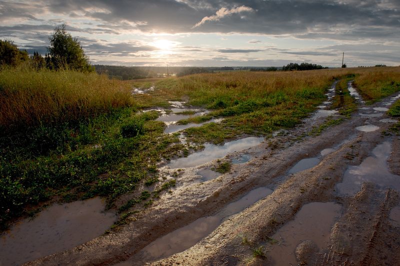 Дождь прошёл фото превью