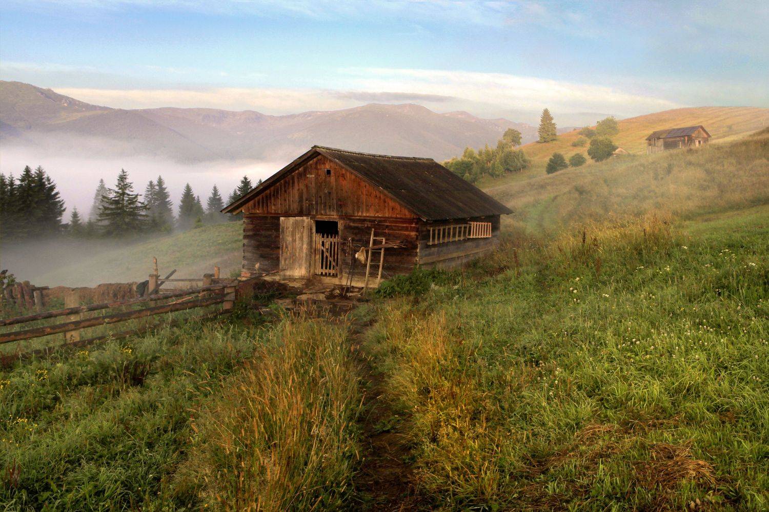 , Милокост Алексей