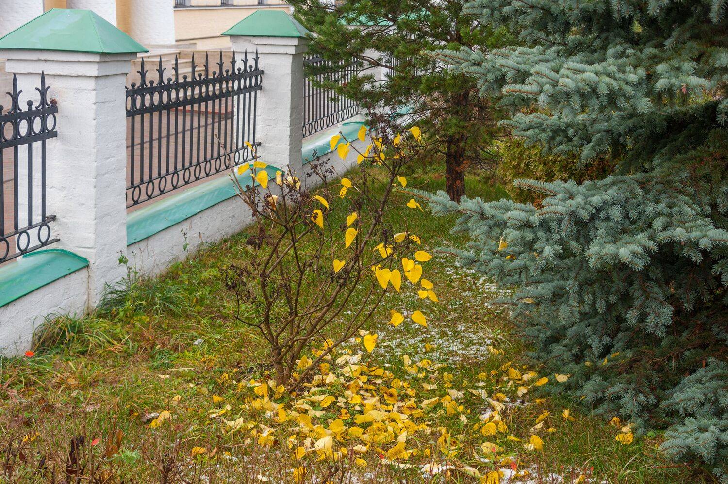 ,  Валерий