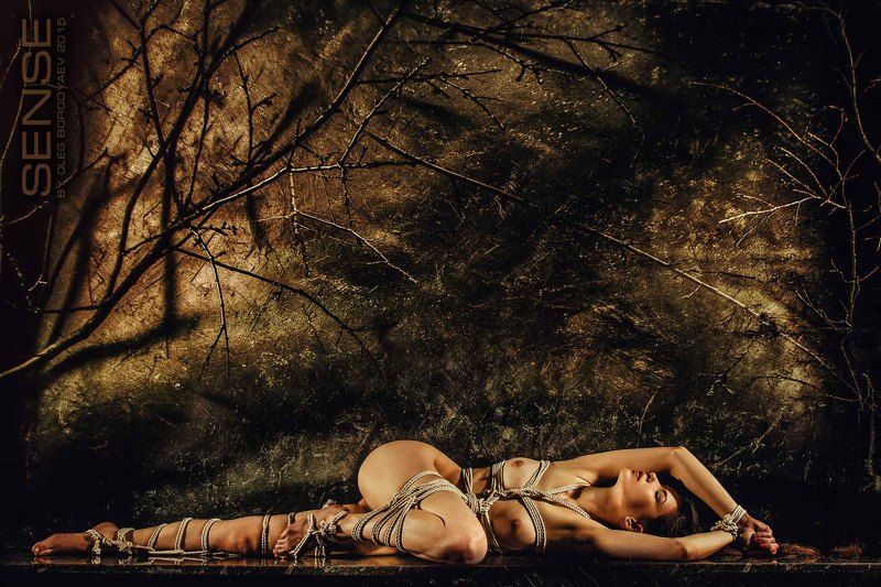 Sense фото превью