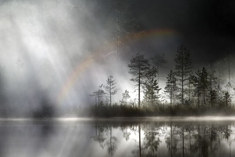 карелия Падал свет фото превью