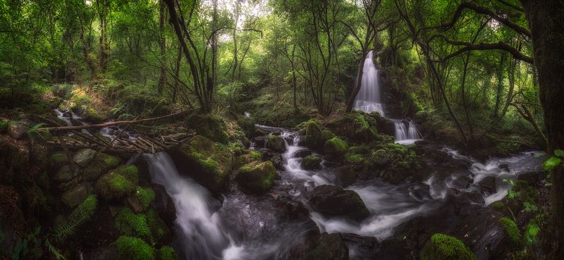 forest, intothewood, waterfall, water, enchanted, green, tree, bridge, wood the Enchanted Forest фото превью