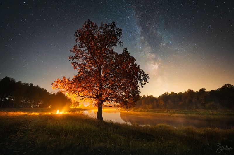 ночь, река, звезды, млечный путь, костер, астрофотография, пейзаж, landscape, night, milky way, stars, nikon z 14-24, river, autumn, bonfire Под дубом фото превью