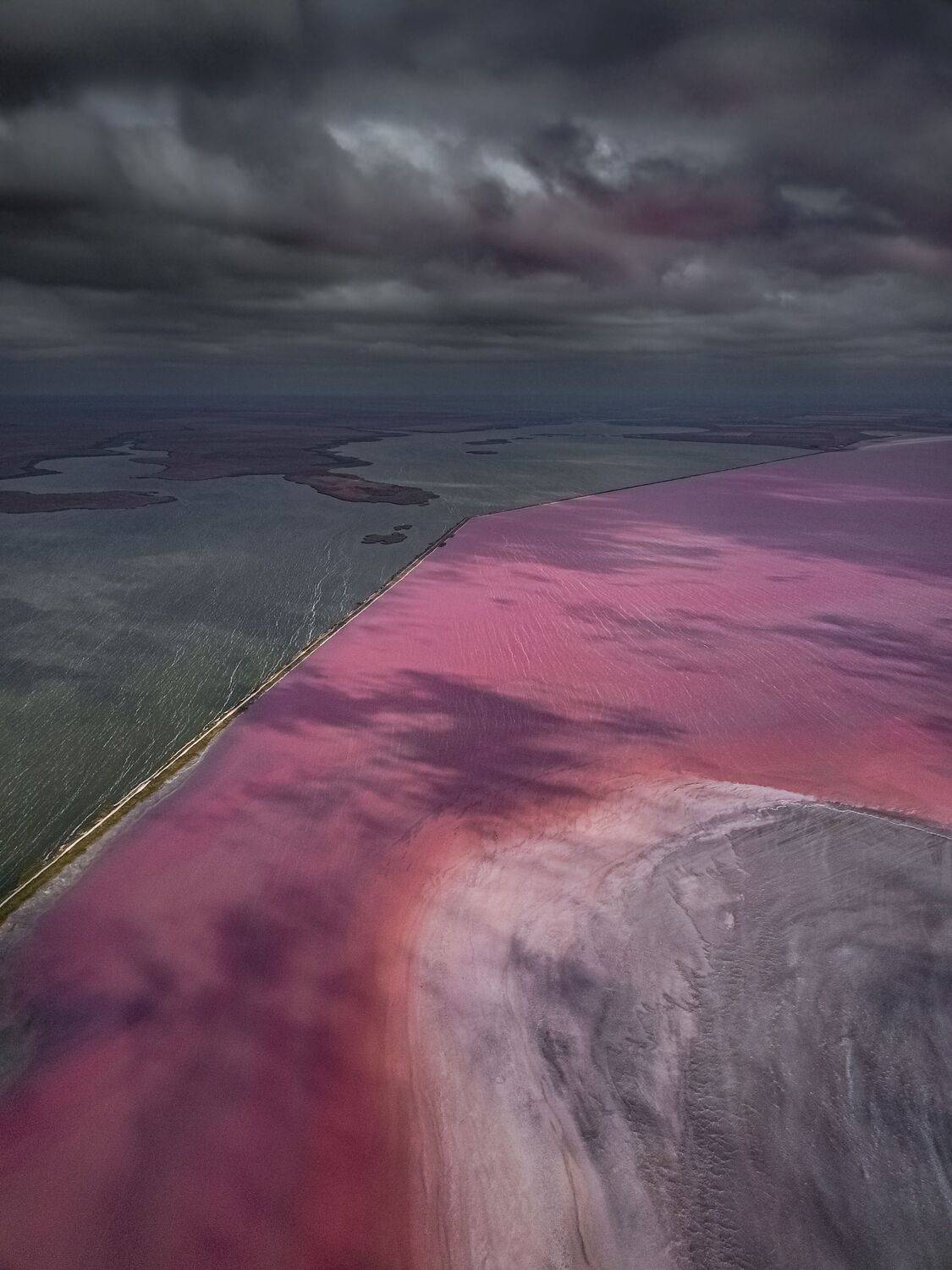 , Андрей Кривцов