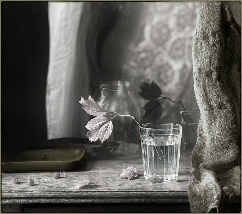 , Stein Georg