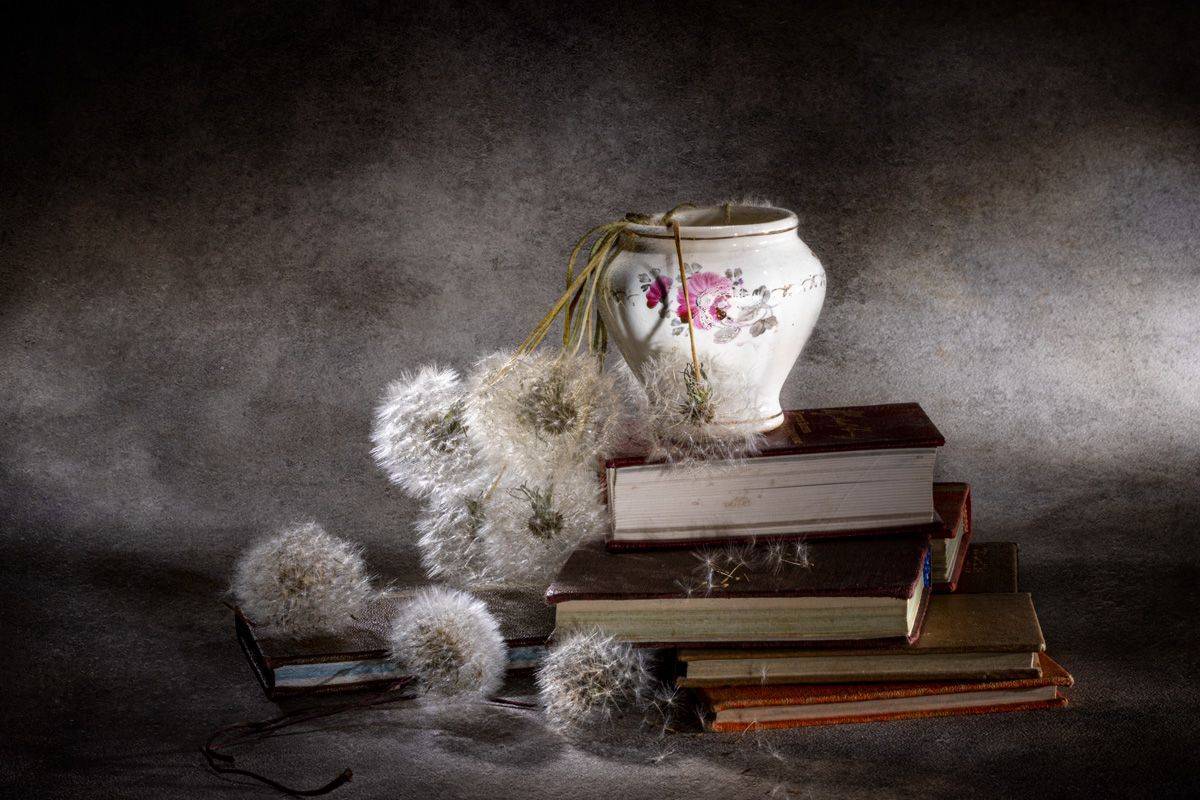 stillife, close-up, Игорь Копцев