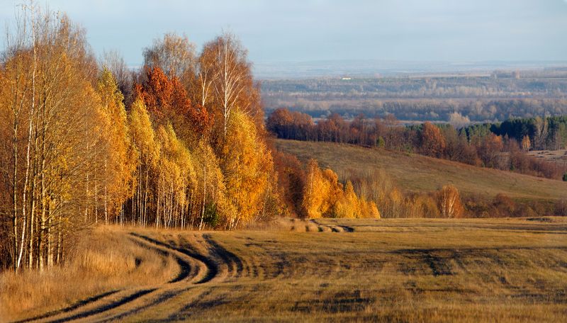 Золотая башкирская осень фото превью