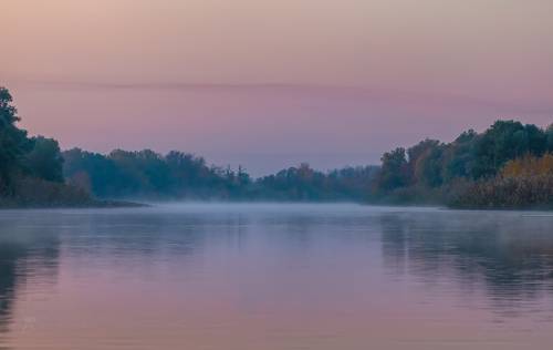 Акварели из заповедника