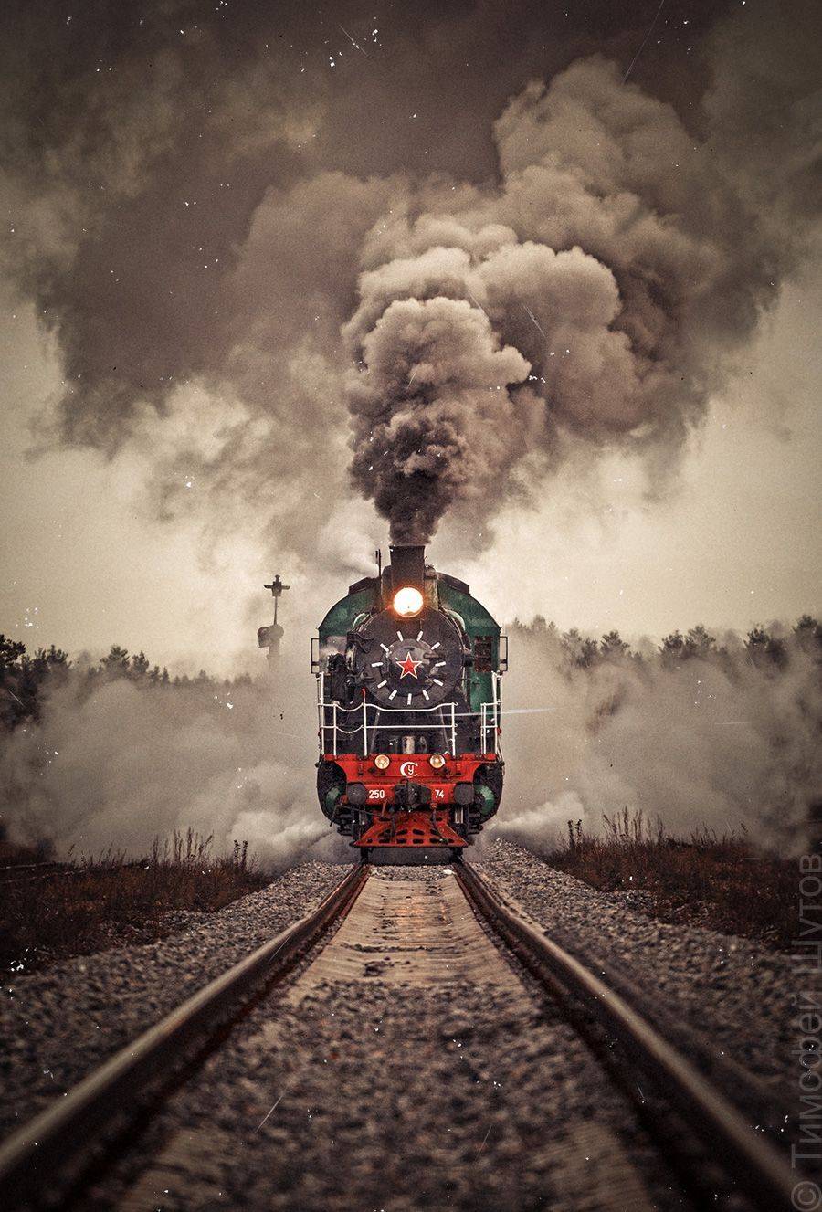 , Тимофей Шутов