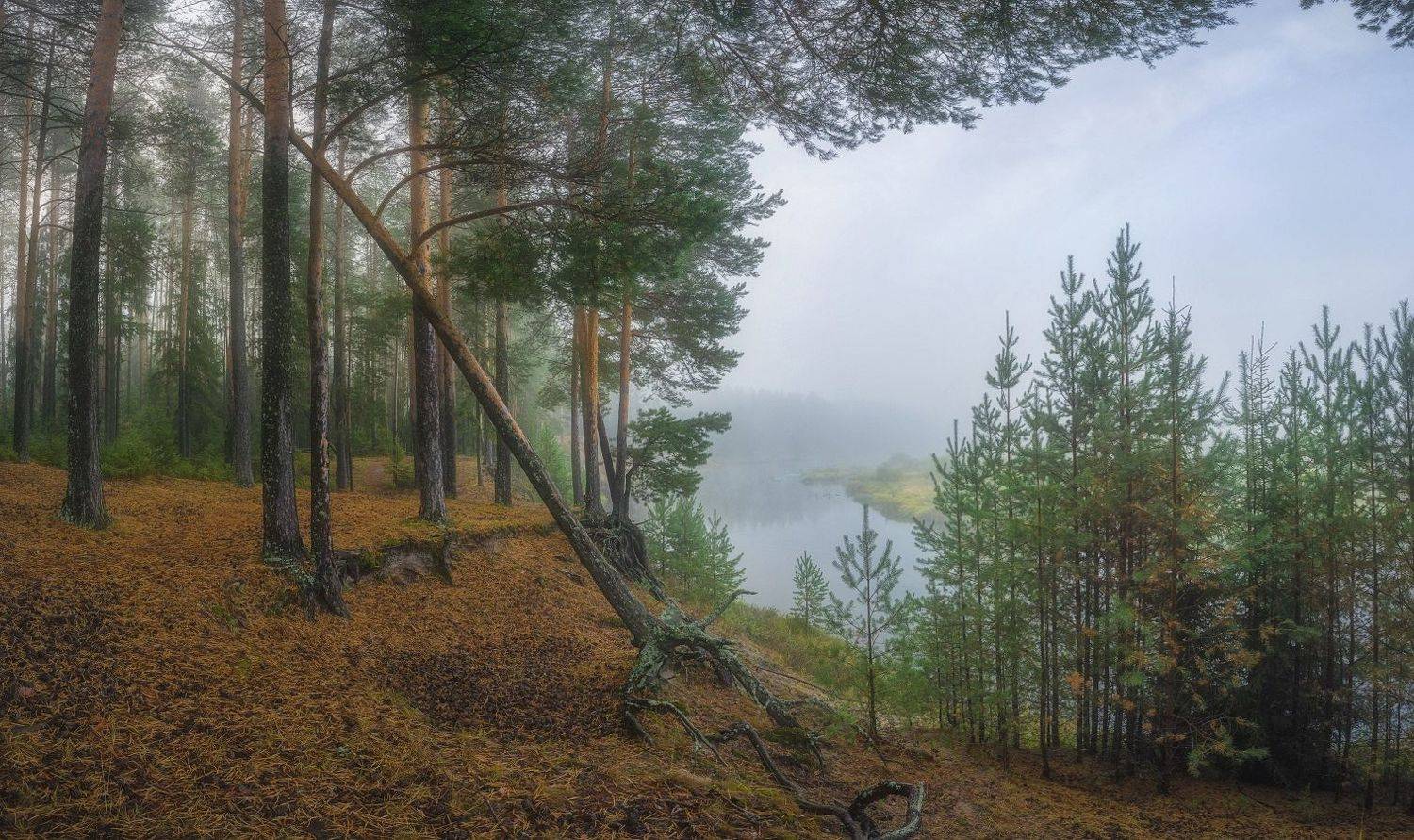 , Устюжанин Михаил