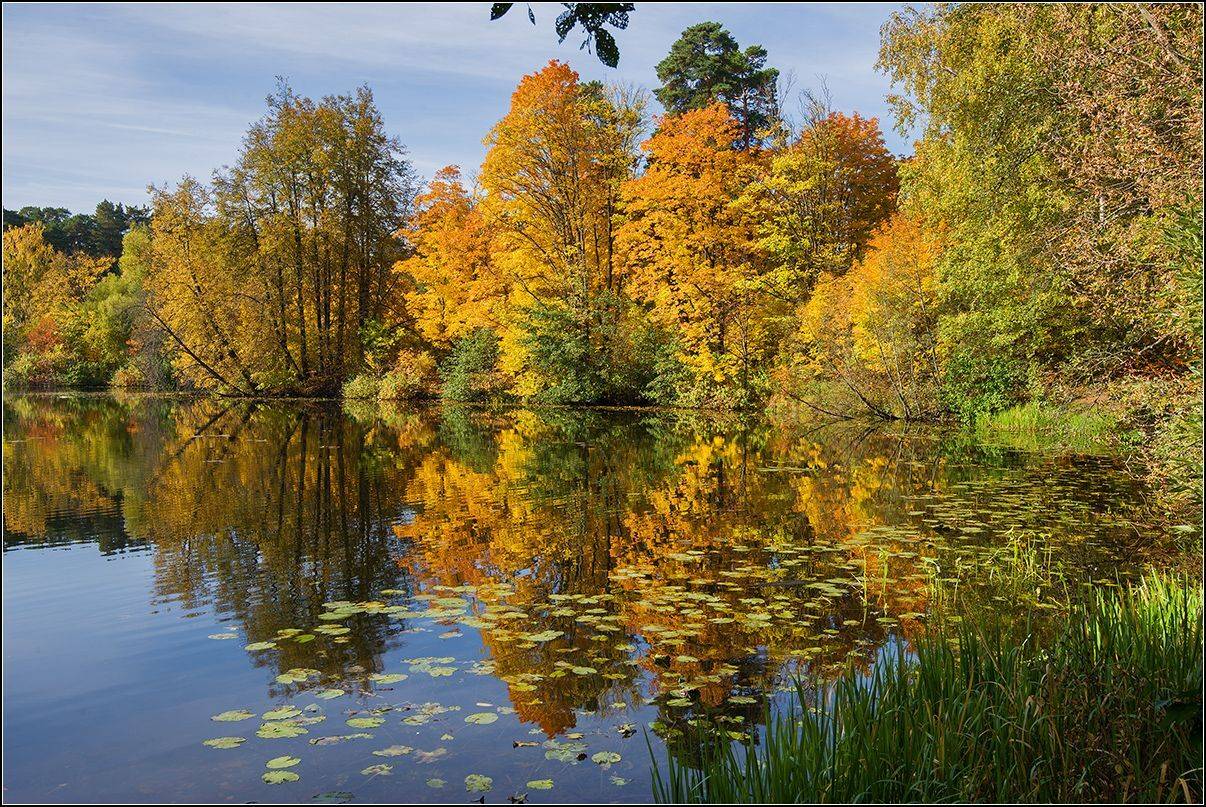 москва, осень, озеро, лес, АНАТОЛИЙ ДОВЫДЕНКО