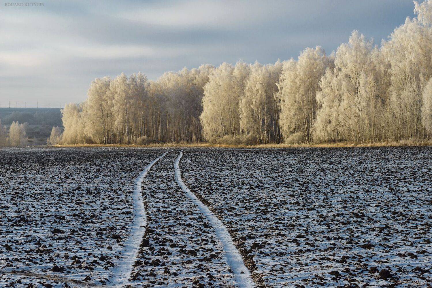 , Кутыгин Эдуард