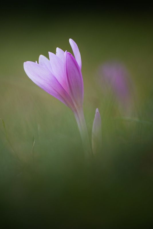 Slovakia paradise VII фото превью