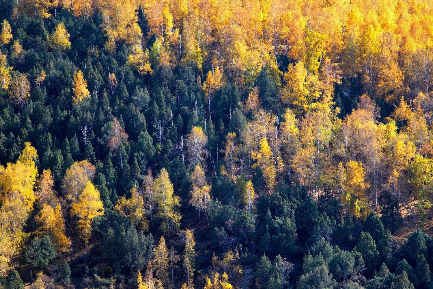 кыргызстан, горы, Элина Магалимова