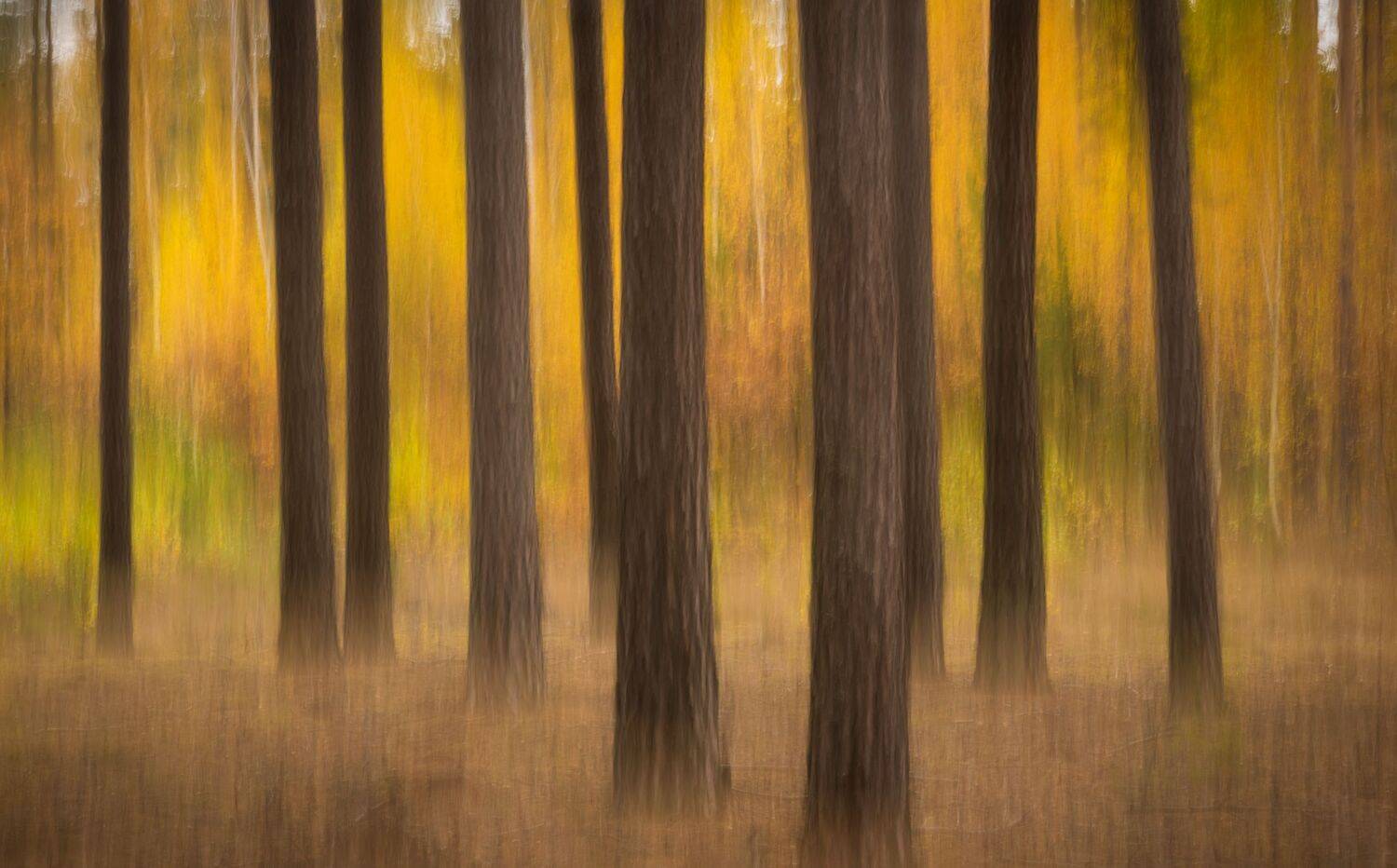 , Дмитрий Захаров