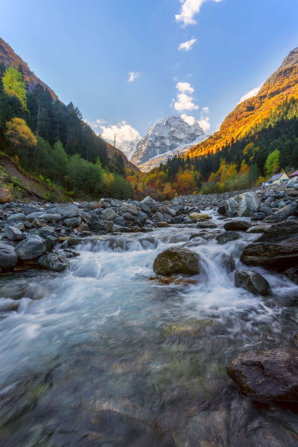 , Юлия Шумляева