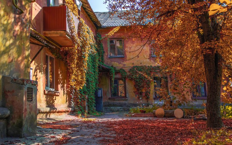 Где пахнет осенью фото превью