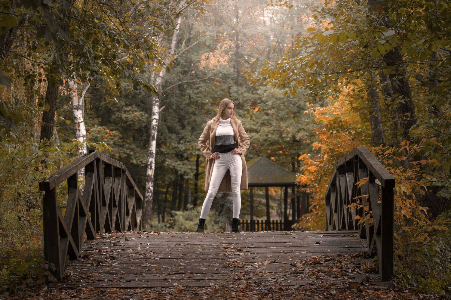Eve on the catwalk. Автор: Maciej Werbliński , Maciej Werbliński