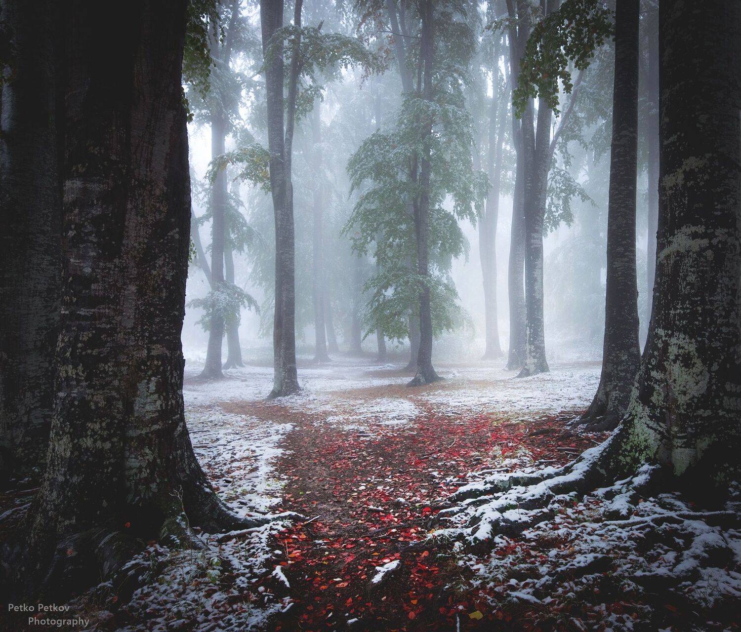 , Петко Петков