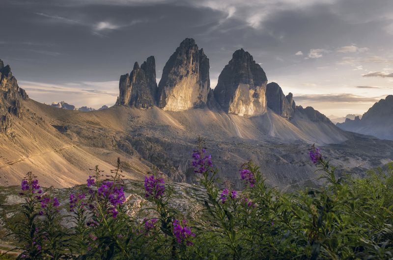 фото превью