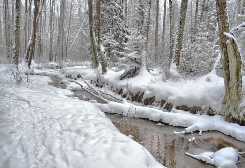 После снегопада  фото превью