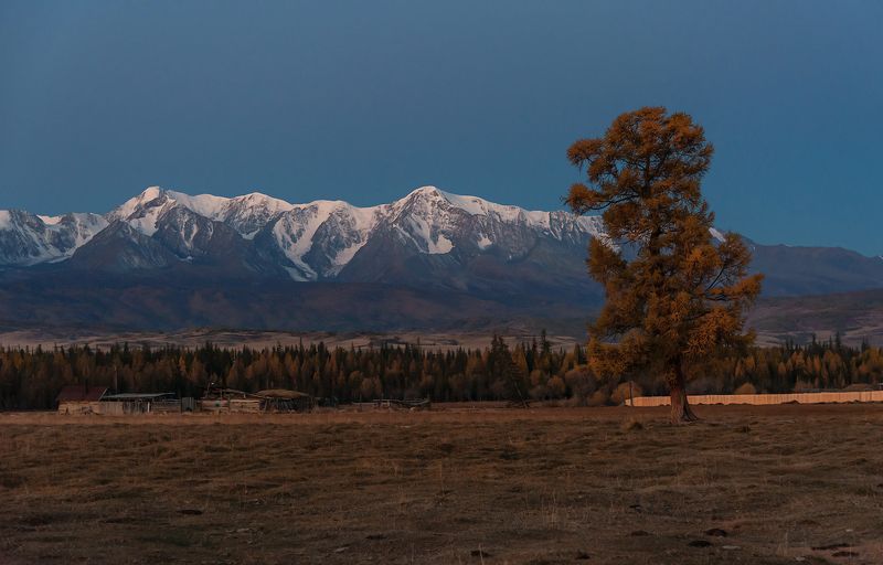 курай, алтай, горный алтай, утро, сумерки, рассвет, чуйский тракт Курай в ожидании рассвета фото превью