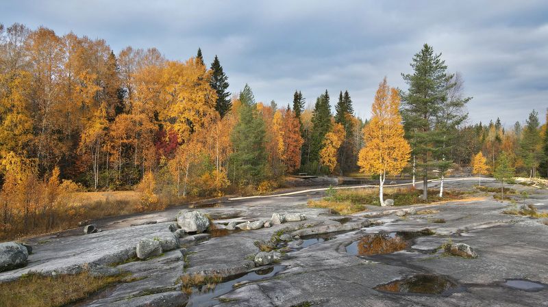 *** фото превью