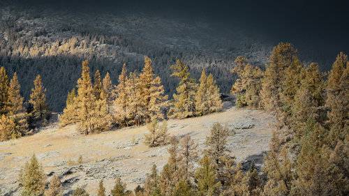 припорошило