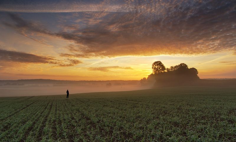 autumn, sky, field, morning, fresh, sunrise, poland, trees, mist, sunlight I\'m фото превью