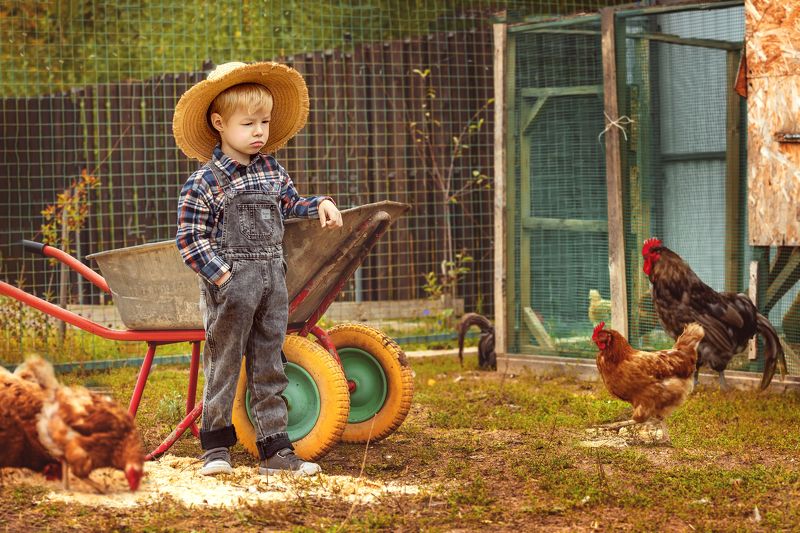 Хозяин фермы фото превью