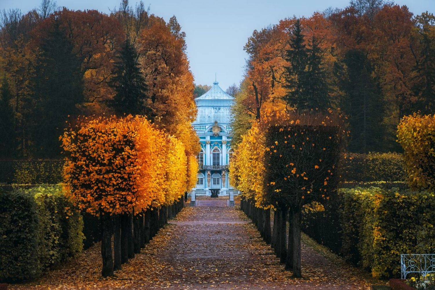 пушкин, царское село, осень, Майя Афзаал