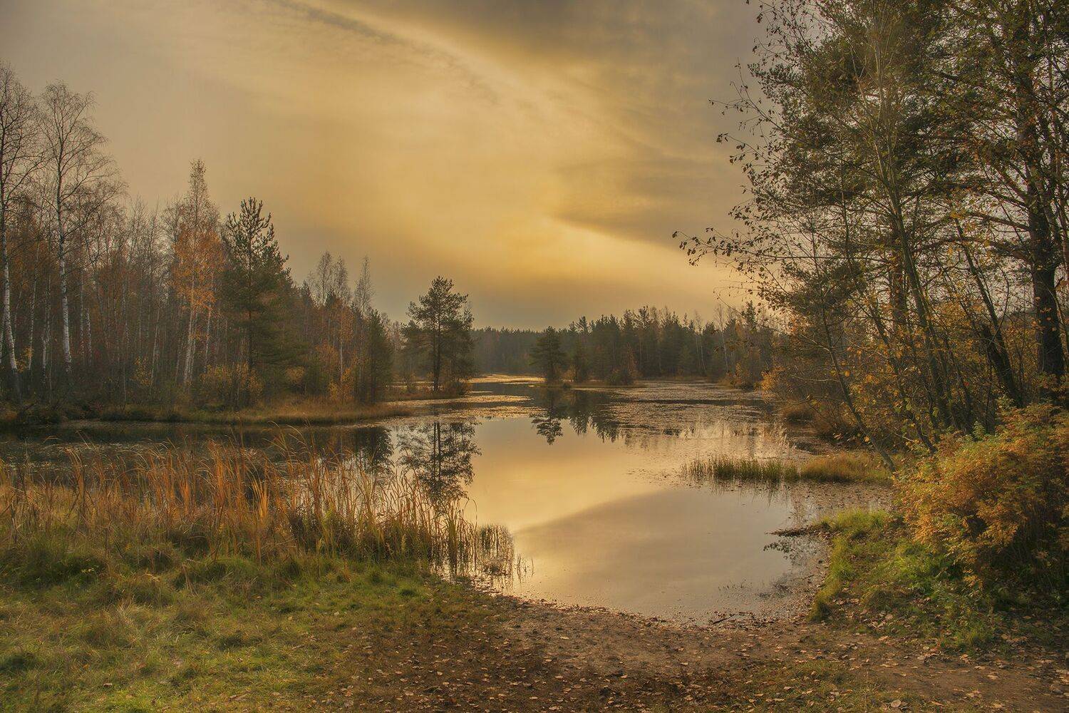сестрорецк,сестрорецкие болота, alexOmRam