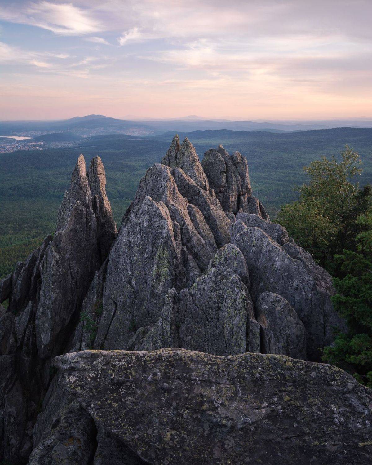 , Алексей Проняхин