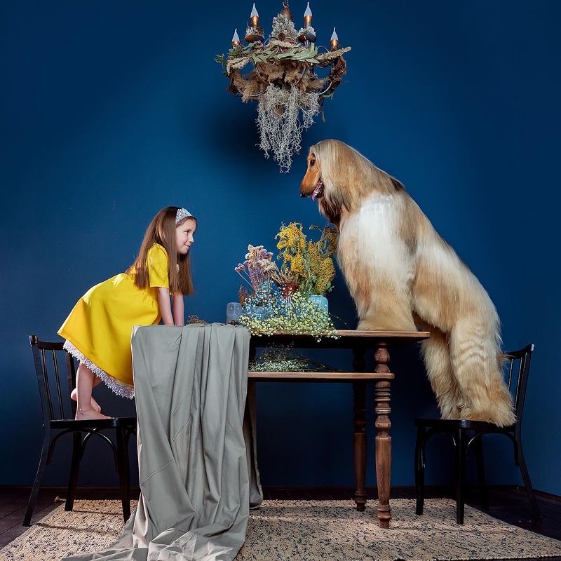 Я и моя тень фото превью