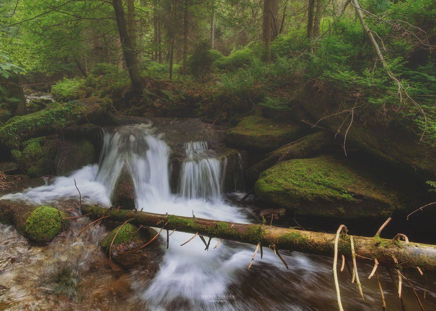 пейзаж туман лес вода лето ручей landscape mist forest water summer stream, Stanislav Yendrek