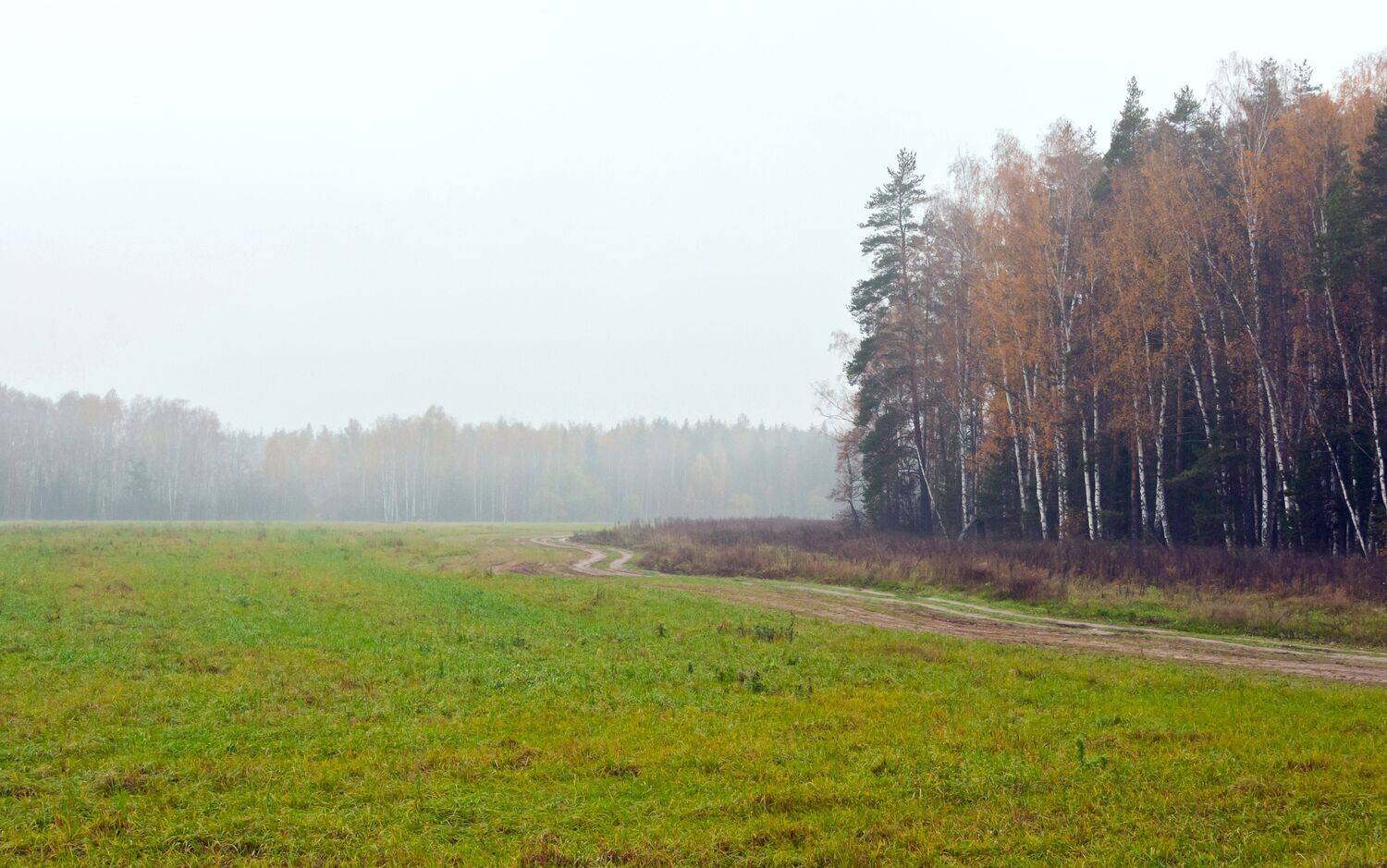 ,  Валерий