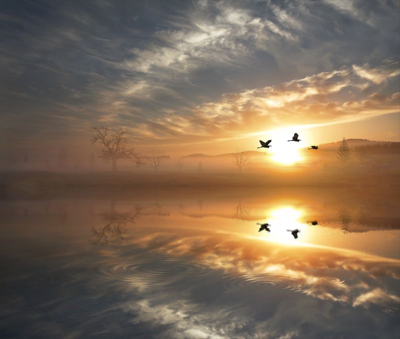 берег, рассвет, красивые, места, с, отражением, в, воде Родные берега фото превью