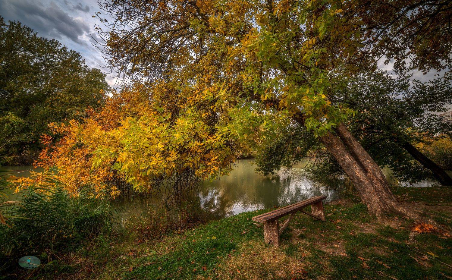 осень, Alexander Plekhanov