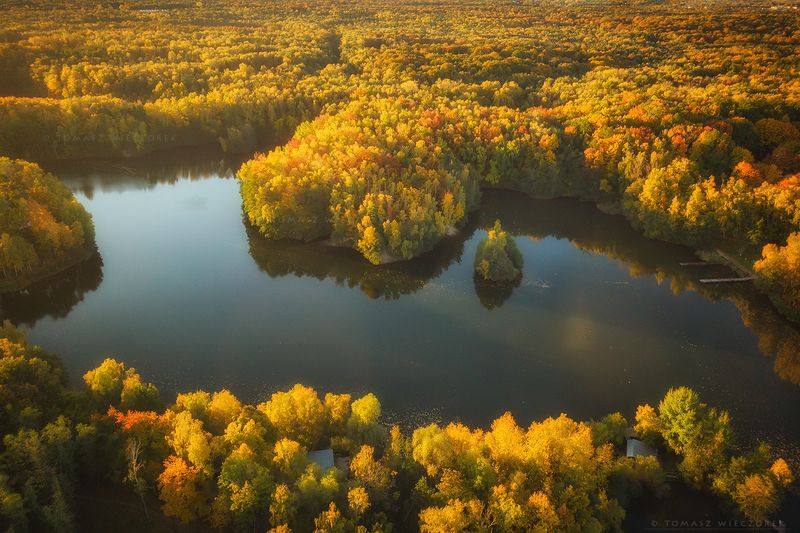 landscape, poland, light, autumn, awesome, amazing, sunrise, sunset, lovely, nature, travel, drone, trees, orange, shadows, dji, lake, colors Colors of autumn фото превью