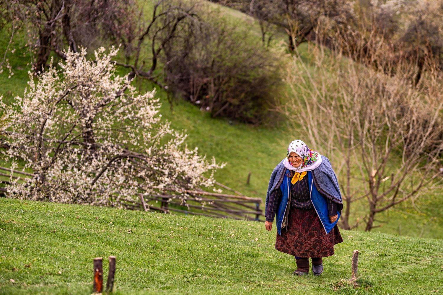 , Пламен Куденко