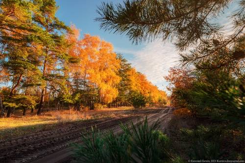 Дорога в осень!
