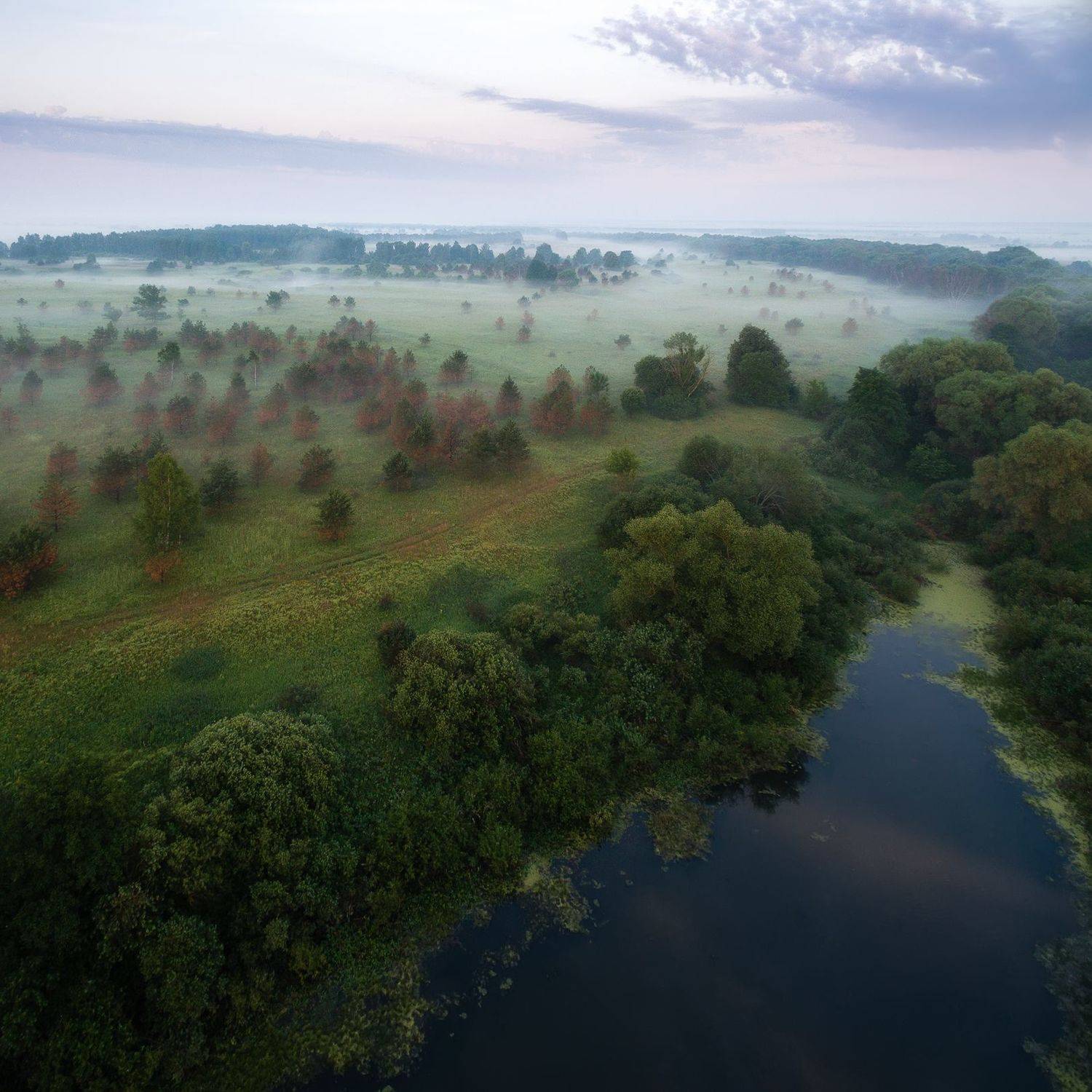 пейзаж, Сергей Сергеев