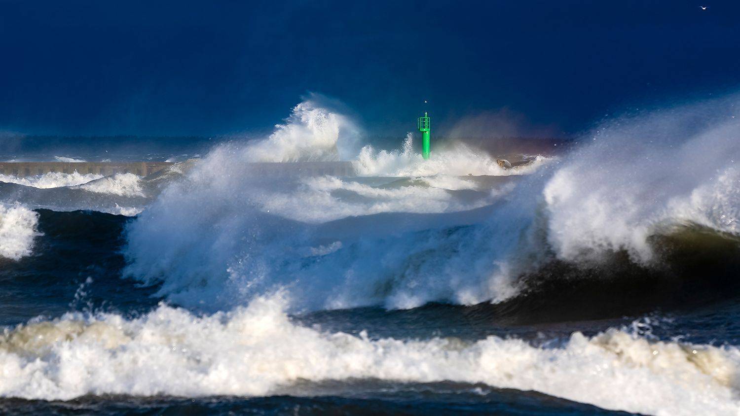 , Александр Абросимов