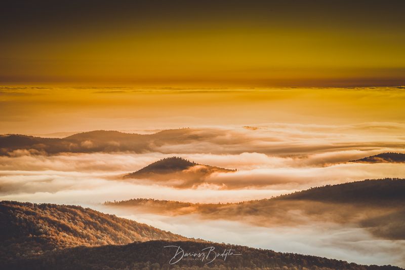 Fog in mountain фото превью