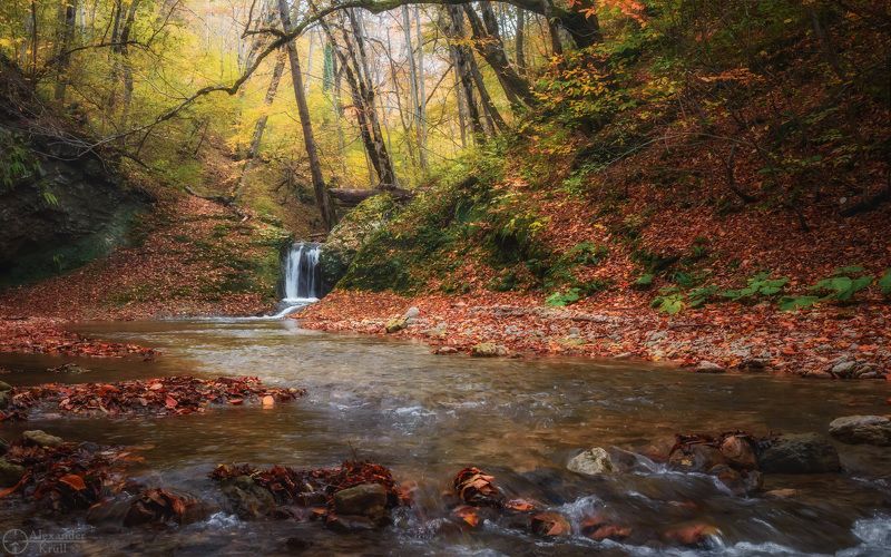мишоко На осеннем Мишоко фото превью