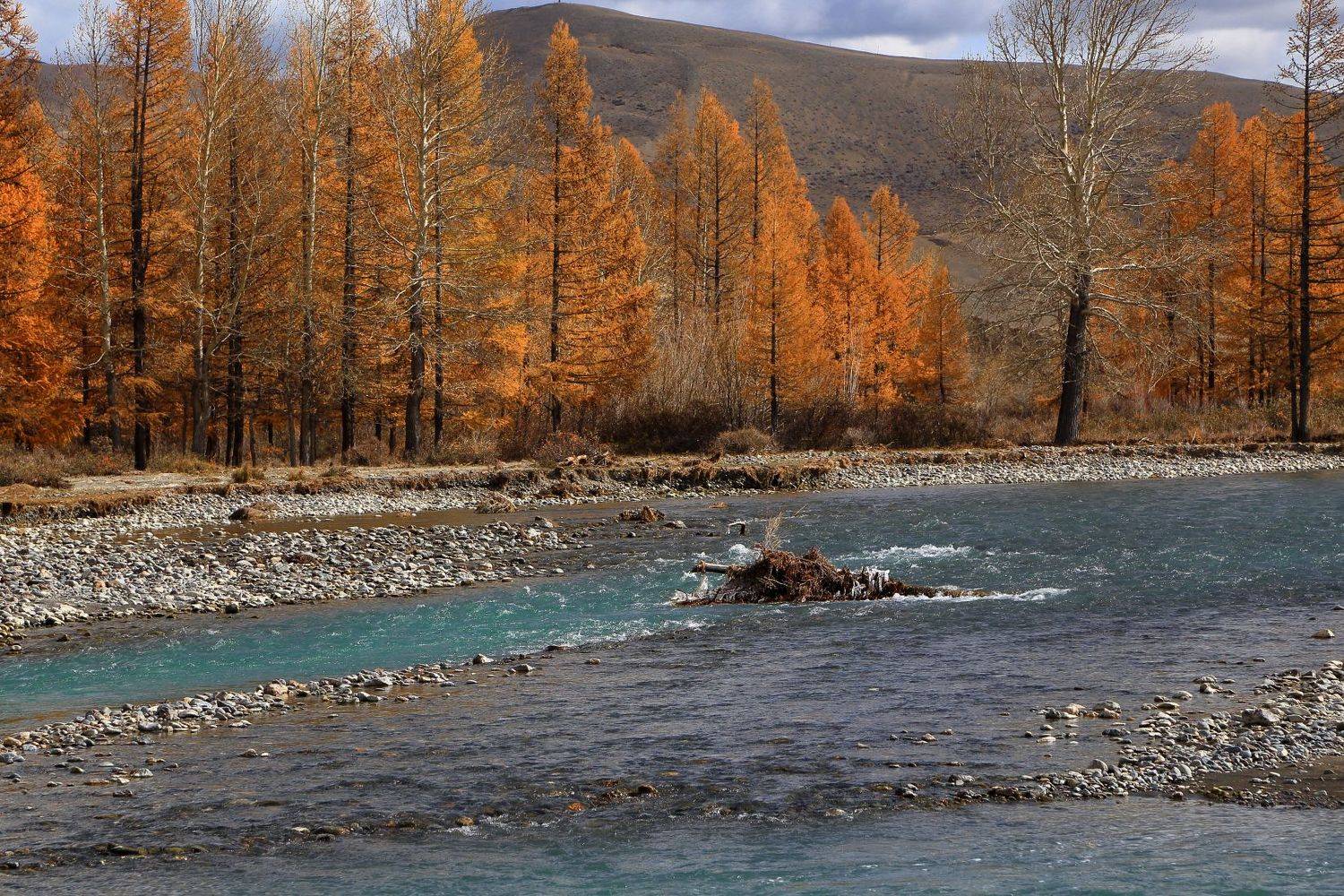 , Евгений Зинов